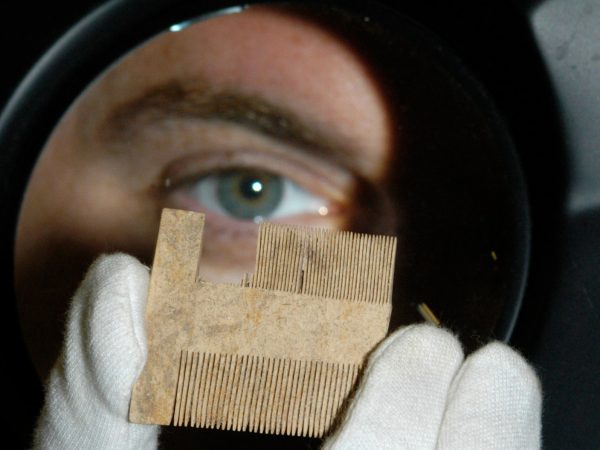 David holds up bone louse comb