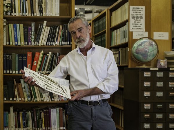 Mark standing at table with dried plant specimens
