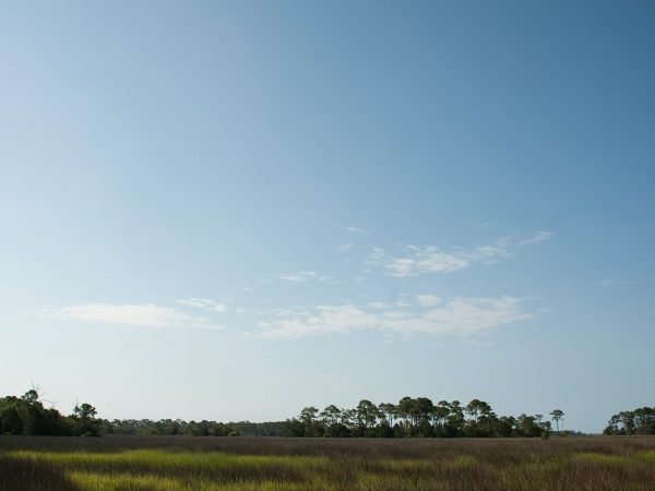 Cedar Key wetlands view with sky