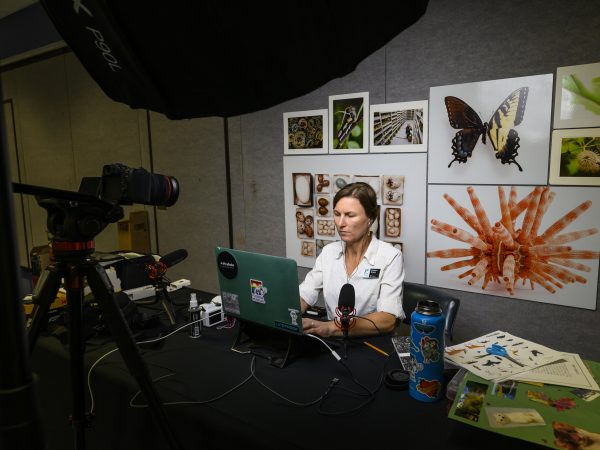 Kristen Grace hosts a virtual camp for students