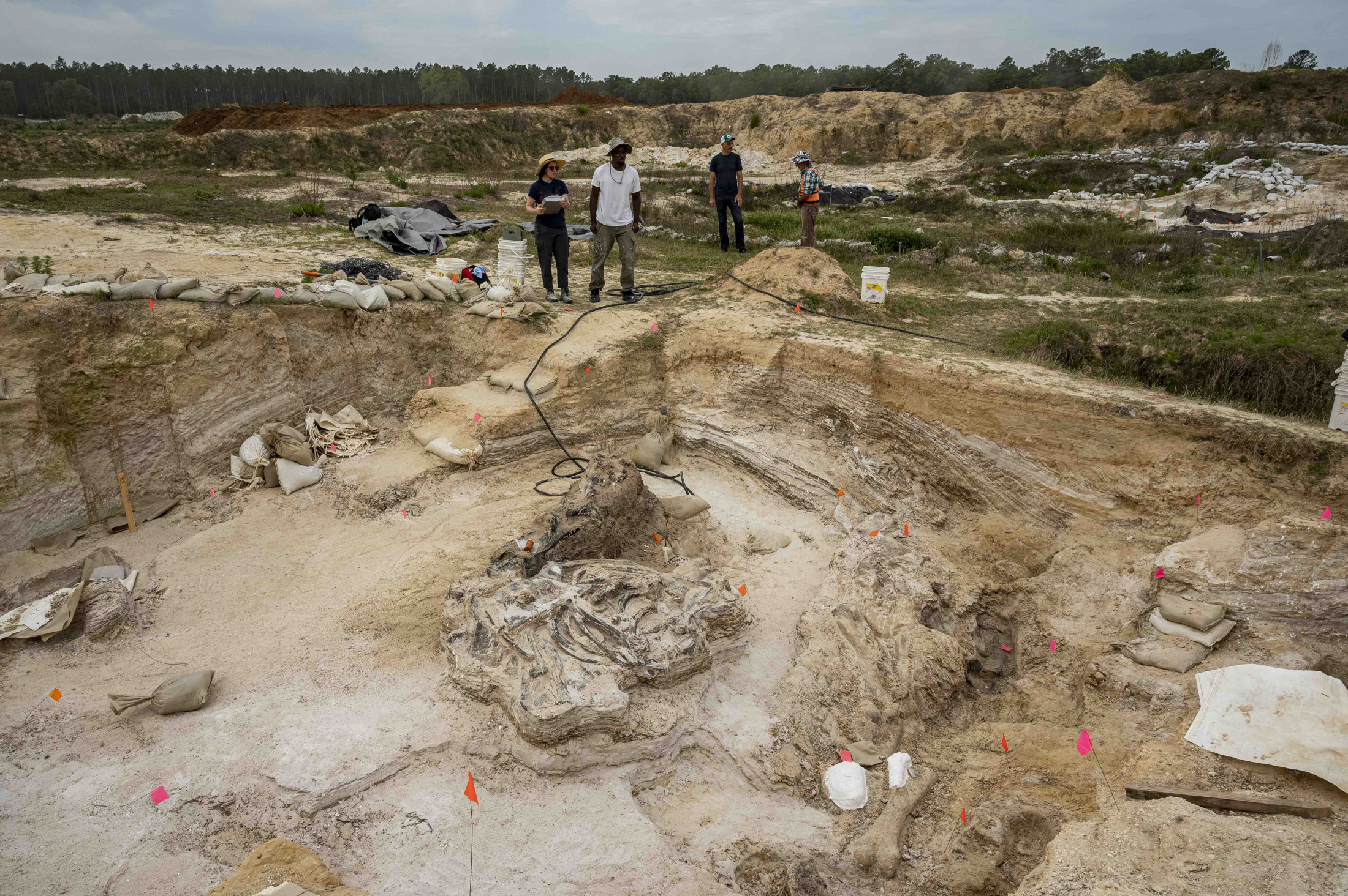 Fossil bed, with a partial skeleton and people standing in the background