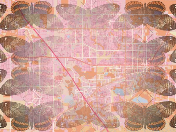 Mosaic of butterfly illustrations superimposed on a map of an urban area.